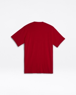 Camisetas Converse Chuck Taylor Patch Para Hombre - Rojas | Spain-8052